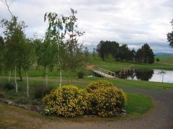 Buttercup Cottage & Private Apartment - Hobart Tourism 3