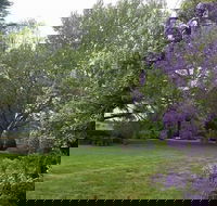 Petersons Armidale Winery  Guesthouse - Tourism TAS