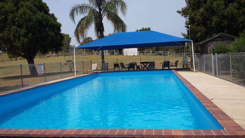 Jacaranda Motor Lodge - Tourism TAS 6