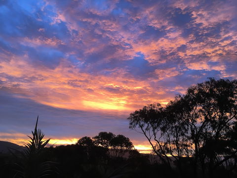 Bed & Breakfast At Kiama - Tourism TAS 3