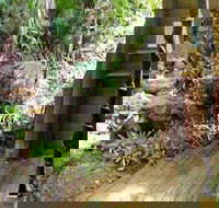 Rainforest Hideaway - Tourism TAS