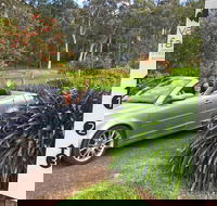 Valley Farm Vineyard Cottages - Tourism TAS