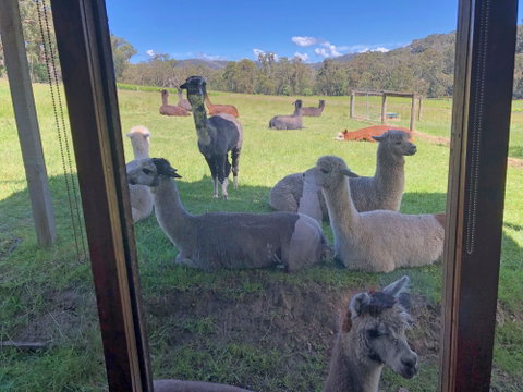 Valley Farm Vineyard Cottages - Hobart Tourism 2