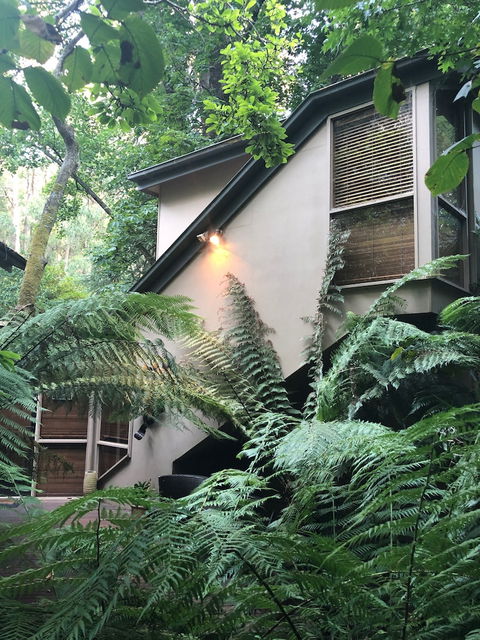 Linden Gardens Rainforest Retreat - Tourism TAS 2