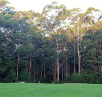 Tinglewood Cabins - Tourism TAS