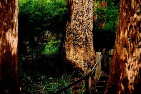Billa Billa Farm Cottages - Tourism TAS 2