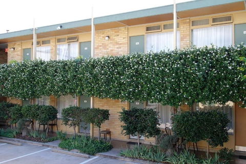Mid City Motor Inn - Tourism TAS 2