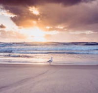 Blue Waters Motel - Tourism TAS