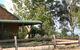 The Vineyard Motel - thumb 0
