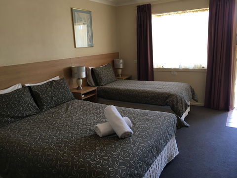 Araluen Motor Lodge - Tourism TAS 3