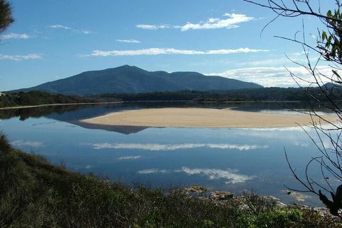 Bermagui Motor Inn - Hobart Tourism 3