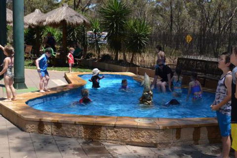 Bendigo Bush Cabins - Tourism TAS 2