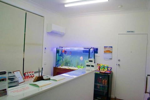 Buckaroo Motor Inn - Tourism TAS 4