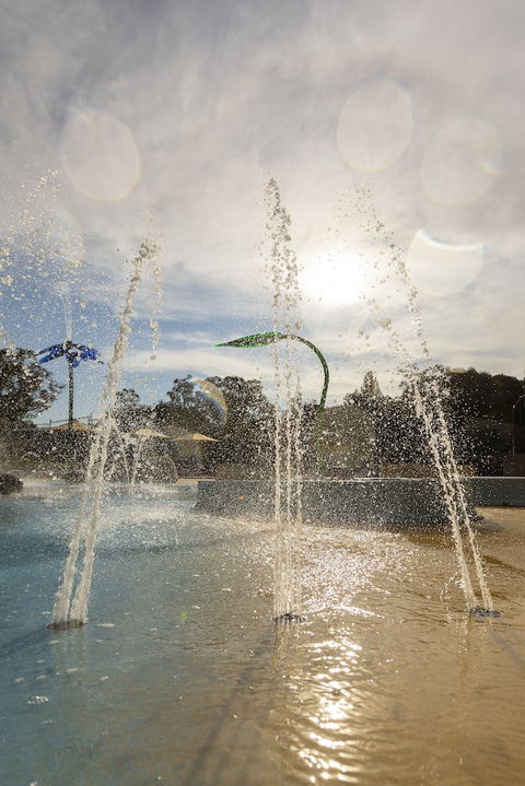 Alivio Tourist Park Canberra - Tourism TAS 5