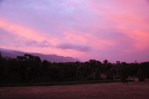 Boroka Downs - Tourism TAS 1