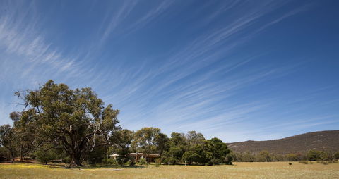 Boroka Downs - Tourism TAS 5