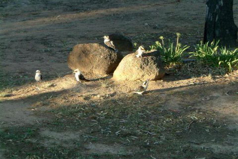 Riverview Motel Deniliquin - Hobart Tourism 2