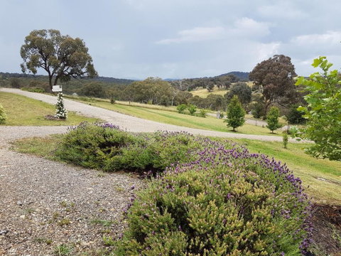 Grace Cottages - Tourism TAS 5