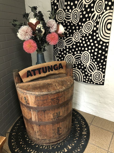Attunga Alpine Lodge And Apartments - Tourism TAS 0