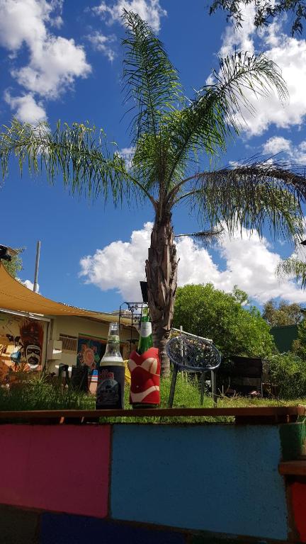Alices Secret Travellers Inn - Tourism TAS 1