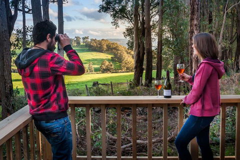 Balingup Heights Hilltop Forest Cottages - Tourism TAS 7