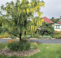 Hamlet Downs Country Accommodation - Tourism TAS