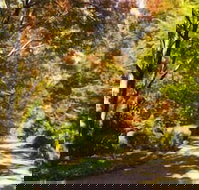 Chalets Lumineux - Hobart Tourism