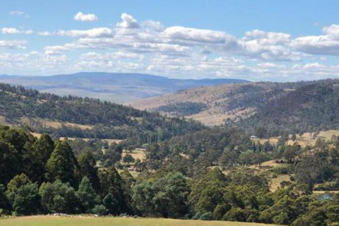 Sassafras Springs - Hobart Tourism 6