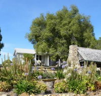 Sassafras Springs - Hobart Tourism