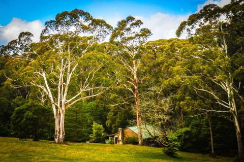Ghost Hill Road Retreat - Tourism TAS 6