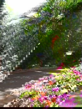 Ivanhoe Village Caravan Resort - Tourism TAS 2