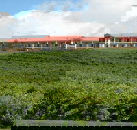 Turners Vineyard Motel and Function Centre - Tourism TAS