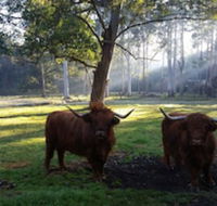 Dingley Dell - Tourism TAS