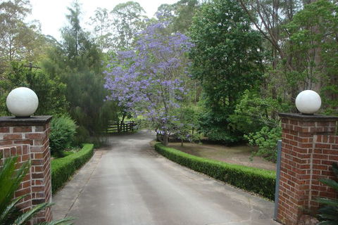 Dingley Dell - Tourism TAS 1