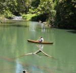 Figtree Getaway - Tourism TAS