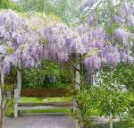 Amelina Cottages - Tourism TAS