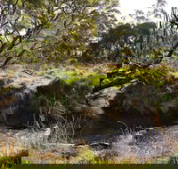 Green Gully House - Tourism TAS