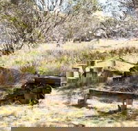 Wrens View - Hobart Tourism