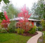 Dalrymples Guest Cottages - Tourism TAS