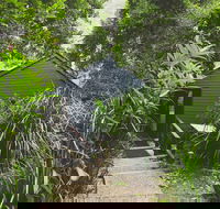Montagues of Montville - Tourism TAS