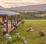 Hanging Tree Wines - Hobart Tourism