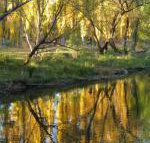 On The Banks - Hobart Tourism