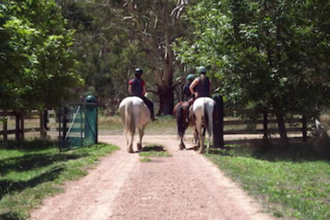 Halls On Falls Homestead - Tourism TAS 3