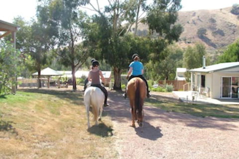 Halls On Falls Homestead - Tourism TAS 1