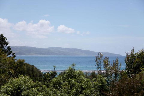 Beachside Entertainer - Hobart Tourism 4