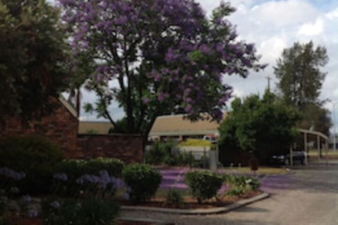 Belvoir Village Motel & Apartments Wodonga - Tourism TAS 0