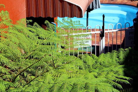 Matilda Motel - Tourism TAS 3