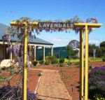 Lavendale Farmstay  Cottages York - Tourism TAS