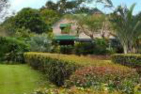 Peppertree Cottage - Tourism TAS 0
