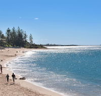 Norfolks on Moffat Beach